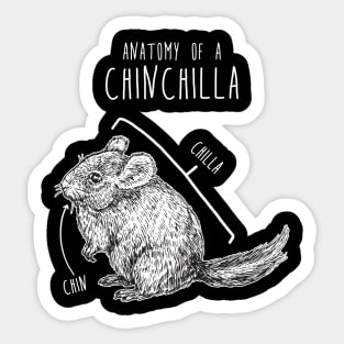 Chinchilla Anatomy Sticker